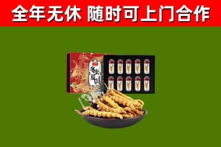 灵璧回收冬虫夏草价格